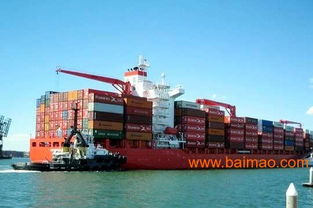 深圳、佛山、廣州至沙特利雅得國際貨運代理全攻略 一站式服務供應商與廠家選擇指南